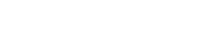 大叶女贞批发